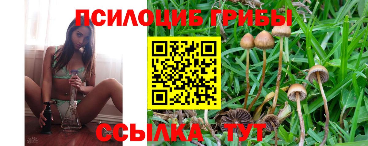 Мытищи  Галлюциногенные грибы прущие грибы  Вход с VPN 